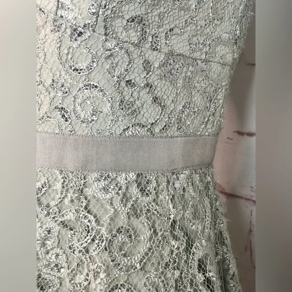 ADRIANNA PAPELL Silver Lace Overlay Fit & Flare Minidress Size 4 PETITE - Picture 11 of 16
